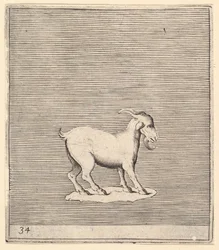 Bélier