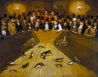 Chasse aux rats à la taverne Blue Anchor, Bunhill Row, Finsbury