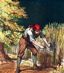 Moissonneur commençant à couper une récolte de blé avec une faucille, 1867