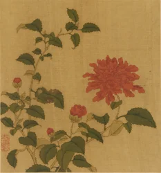 Pivoine rouge, dynastie Qing, 18ème siècle