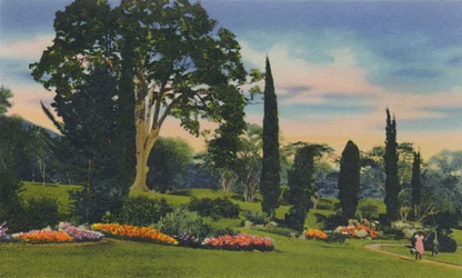 Jardin de Rochers, Trinidad, B.W.I., vers 1940
