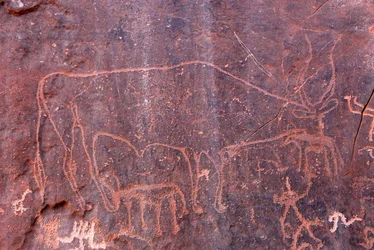 Peintures rupestres à Inchalt
