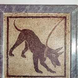 Mosaïque romaine de chien, Cave Canem, Pompéi, Italie
