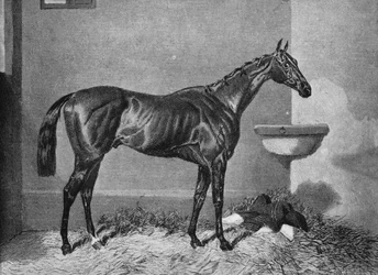 Russborough, 19ème siècle, 1911