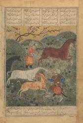 Rustam capture le cheval Rakhsh, Folio du Shahnama Livre des Rois, fin 15ème siècle