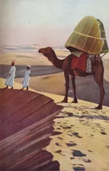 Sahara, années 1930