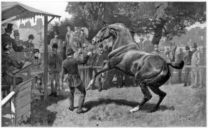 Vente de chasseurs soulevant une objection, 1885