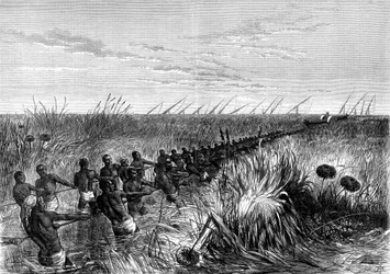 Le bateau de Samuel Baker tiré à travers les herbes de la rivière, 1864