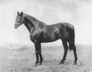San-Toi, 1911