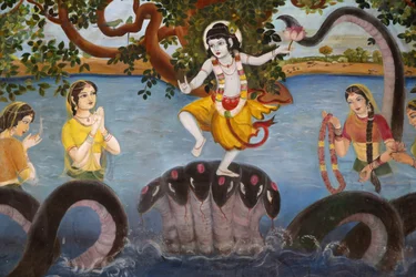 École Sandipani Muni pour filles nécessiteuses gérée par Food for Life Vrindavan. Vie de Krishna. Inde