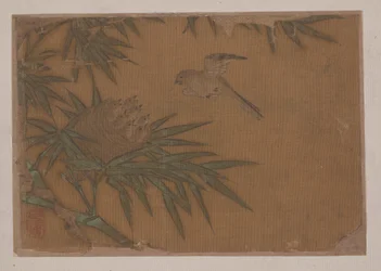 Sept oiseaux dans un nid d