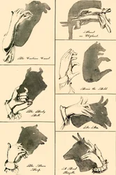 Images d