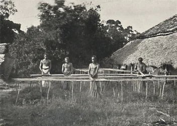 Travailleurs de la cannelle cinghalais au travail, 1926
