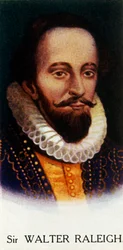 Sir Walter Raleigh