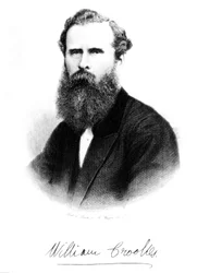 Sir William Crookes, chimiste et physicien anglais, vers 1875
