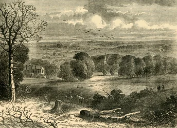Site du Crystal Palace en 1852, vers 1878