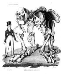 Squelette de Megatherium, paresseux terrestre géant disparu, 1823