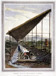Esclaves lavant des diamants surveillés par des superviseurs avec des fouets, Brésil, 1815