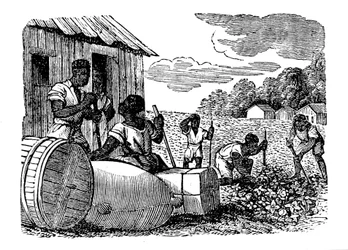 Esclaves travaillant dans une plantation de tabac, 1833
