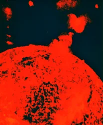 Éruption solaire