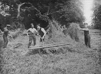 Soldats aidant les fermiers à rentrer le foin, 1915