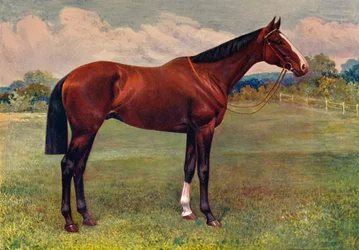 Menthe verte, vers 1905-1910