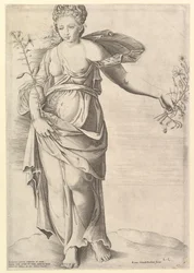 Speculum Romanae Magnificentiae : Flora