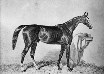 Saint-Albans, XIXe siècle, 1911
