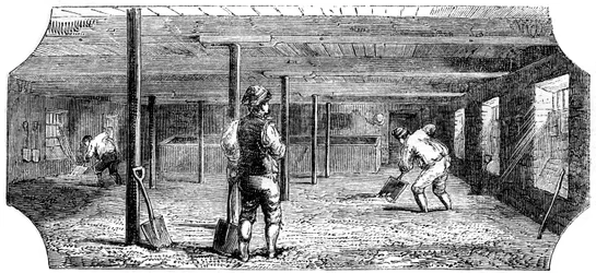 Trempage, couchage et maltage, 1886