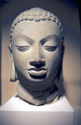 Tête en pierre de Bouddha, Gupta, Inde, 5e siècle