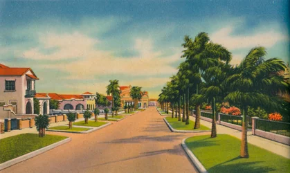 Rue dans un quartier résidentiel, Barranquilla, vers les années 1940