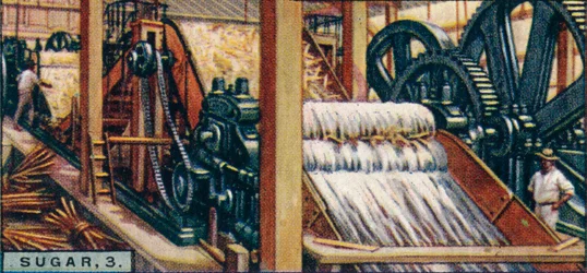 Sucre, 3. Écrasement des cannes, Java, 1928