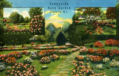 Jardin de roses de Sunnyside, Charlotte, N.C., 1942