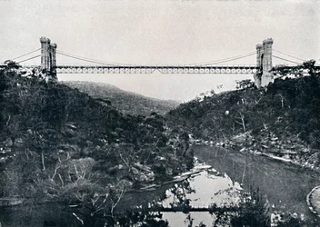 Pont suspendu, Middle Harbour, c1900