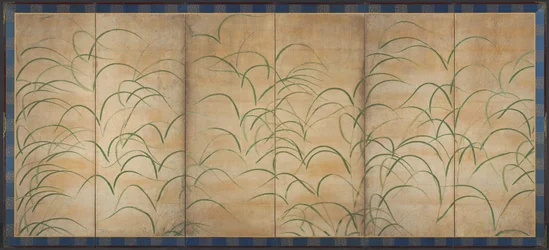 Herbe Susuki, vers 1525