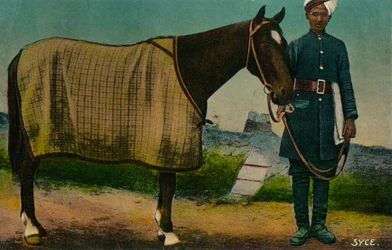 Syce, c1910