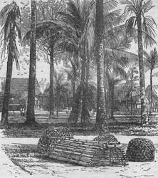 Les casernes de la Résidence, avec les tombes de M. Birch et du capitaine Innes