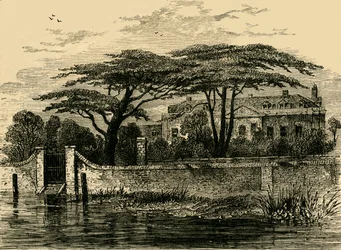 Les jardins botaniques, Chelsea, 1790, vers 1876