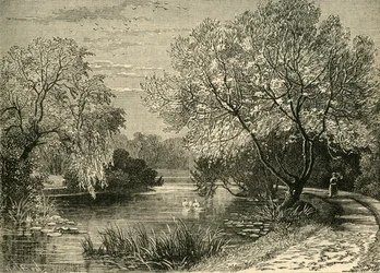 Les jardins botaniques, Regents Park, c1876
