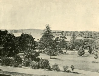 Les jardins botaniques de Sydney, 1901