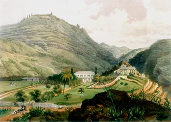 Les Briars, Sainte-Hélène, début du 19ème siècle 1851