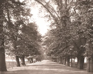 La Promenade Large, Oxford, 1894