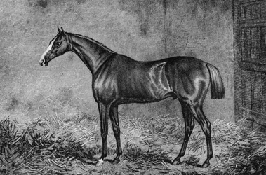 Le Colonel, 1825-1847, 1911