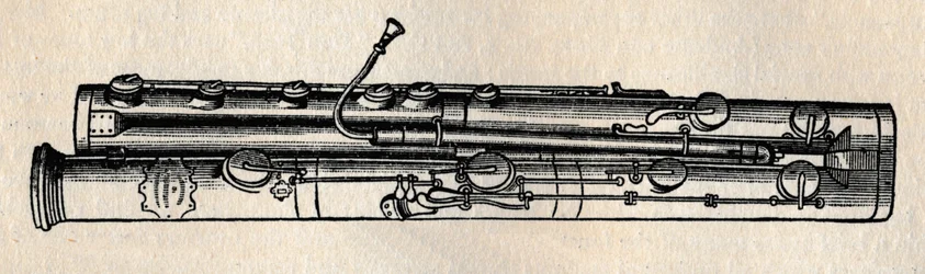 Le Contrebasson, 1895
