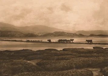 Le Dovey à Ynyslas, 1902