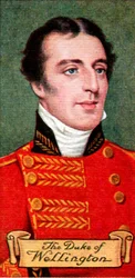 Le duc de Wellington, tiré d