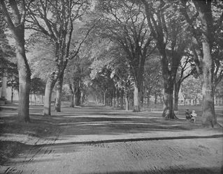 Les Ormes, New Haven, Conn., vers 1897