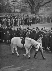 La Selle Vide : le poney blanc du roi George, Jock, mené en procession