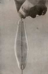 La première lampe électrique à incandescence, vers 1916
