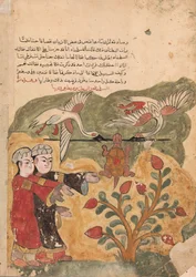 La Fuite de la tortue, Folio d